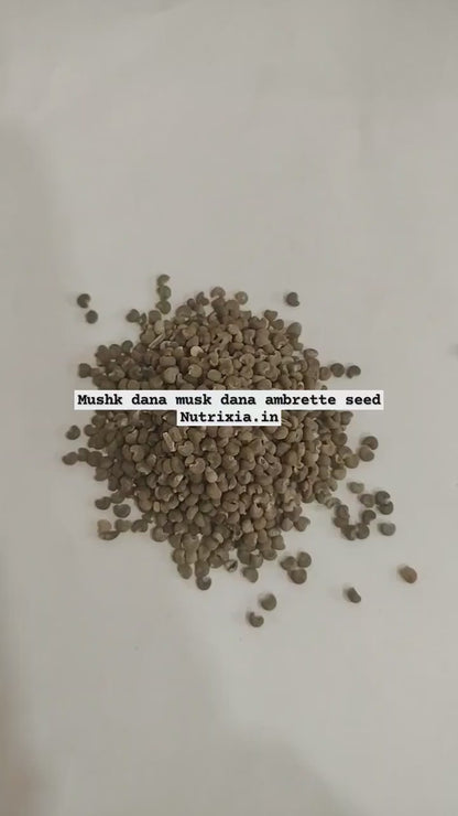 Mushk Dana - Mooshk Dana - Abelmoschus Moschatus - Ambrette Seeds