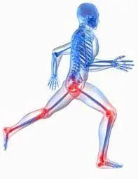 Blog 1: Ayurvedic Medicines for Joint Pain: Natural Remedies for Joint Health Nutrixia Food