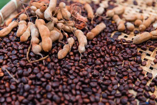 What are the benefits/Uses/Fayde of Imli Beej or tamarind seeds, what are its other names in India, what are the side effects, how should it be taken, and what are some homemade remedies involving it?