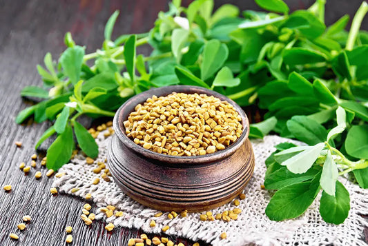 What are the benefits/Uses/Fayde of Methi Dana or Fenugreek Seeds, what are its other names in India, what are the side effects, how should it be taken, and what are some homemade remedies involving it?