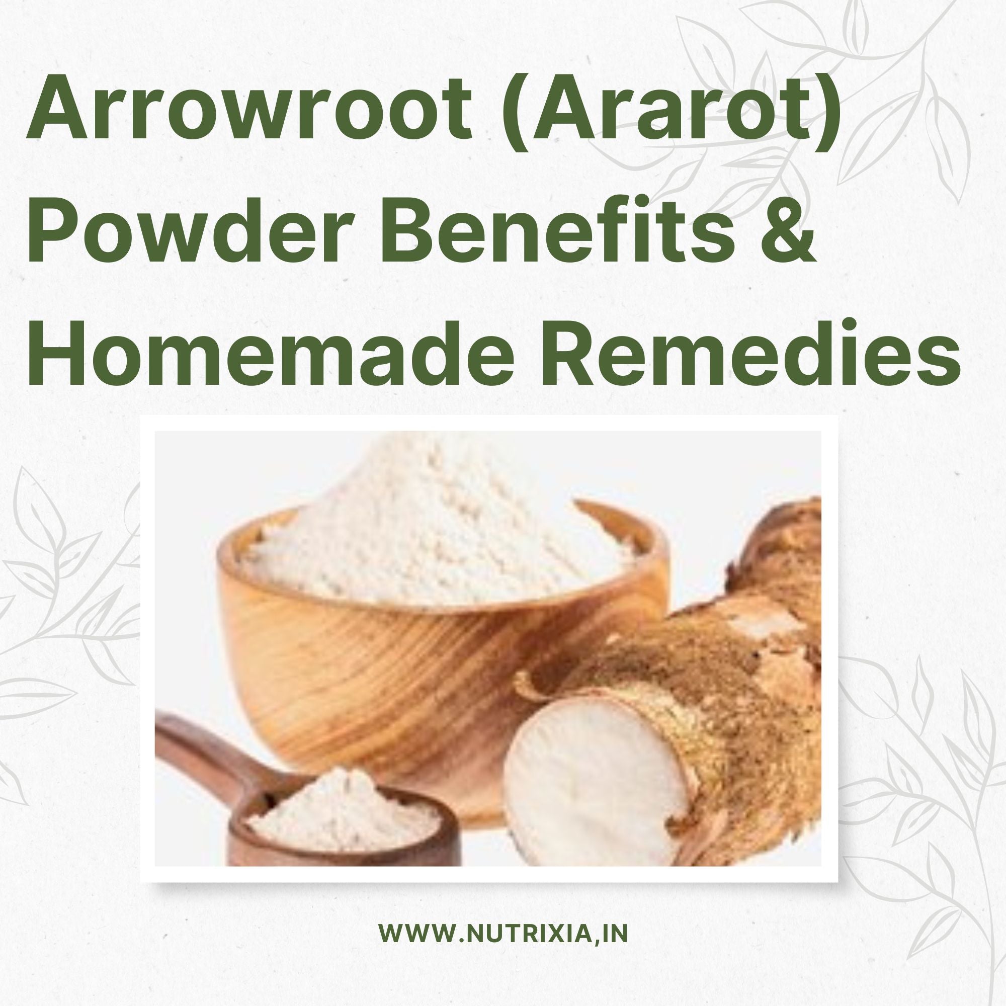 Arrowroot Definition Ararot Powder In English Meaning at Jennifer Hubbard blog