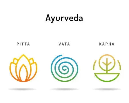 What are Doshas in ayurveda and how to balance Doshas? Nutrixia Food