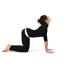 What are yoga techniques or exercises for reducing joint pain? Nutrixia Food