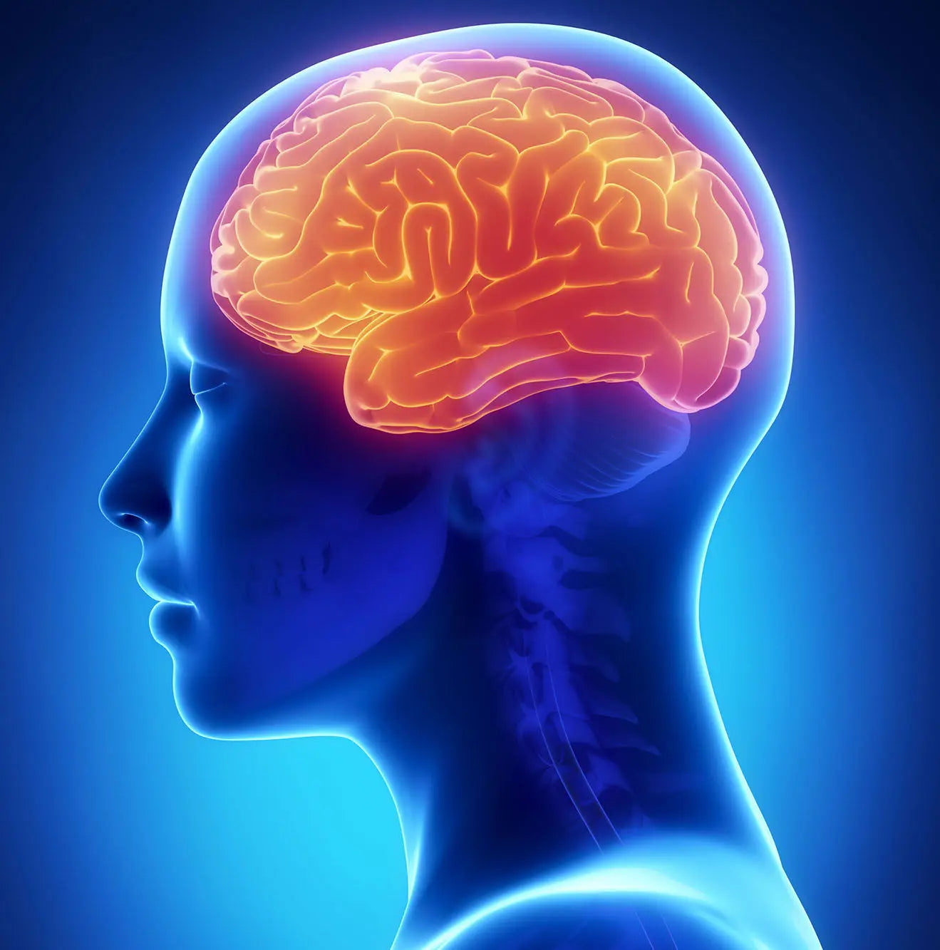 Brain, Neuro & Memory Health - Nutrixia Food