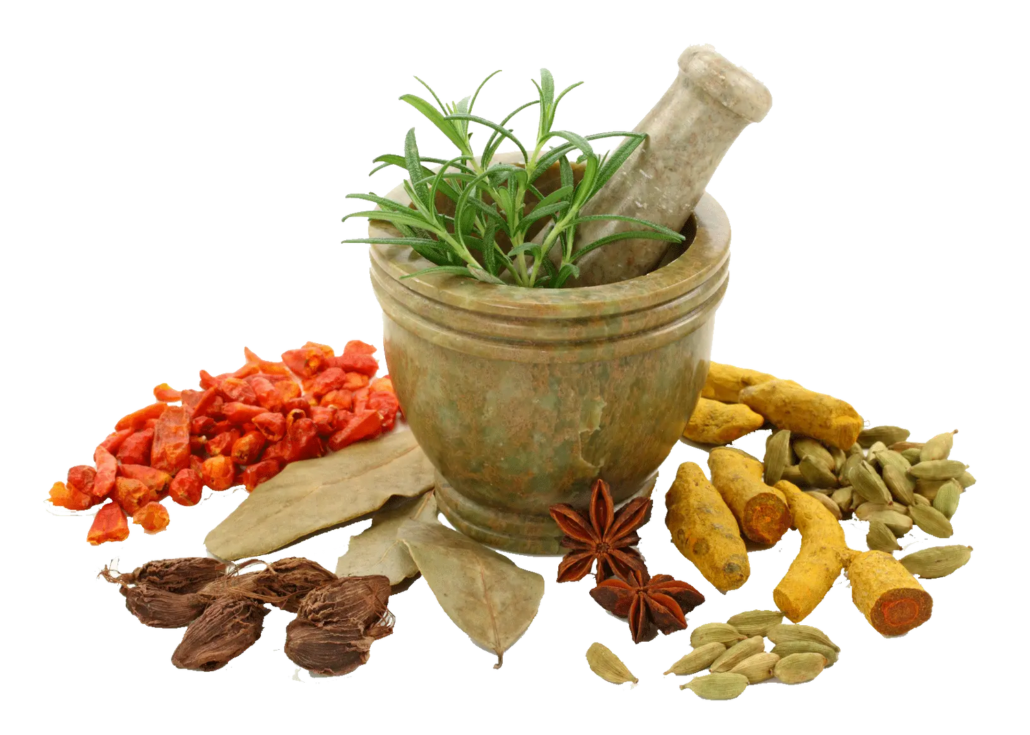 Top Selling Spices - Nutrixia Food