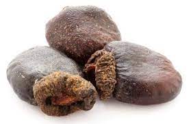 Serankottai - Biba - बिबा - Semecarpus Anacardium- Bhilawa Seeds - Bilava Beej - Bhilava - Bilawa Nutrixia Food