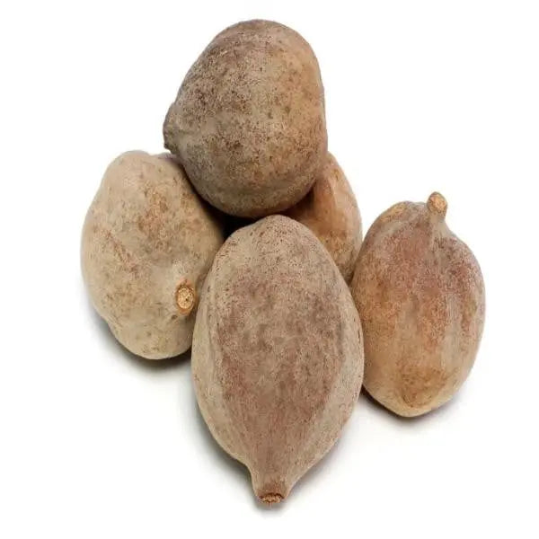 Baheda / बहेड़ा / bedda nuts / Terminalia bellirica / Bahera