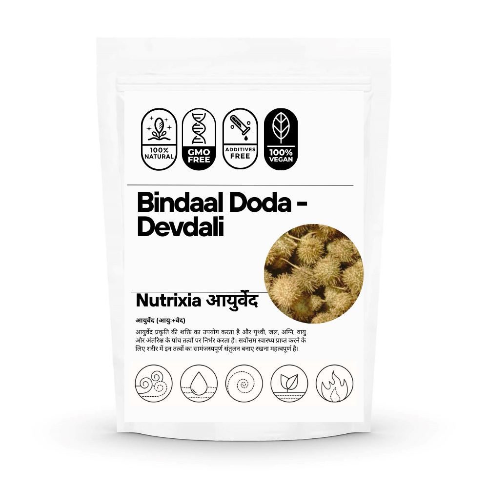 Bindaal Doda - Devdali - Bandal Phal - Thorn Gourd - Luffa Echinata