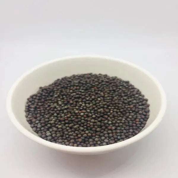 Black Mustard Seed /  काली सरसों का बीज / Brassica nigra