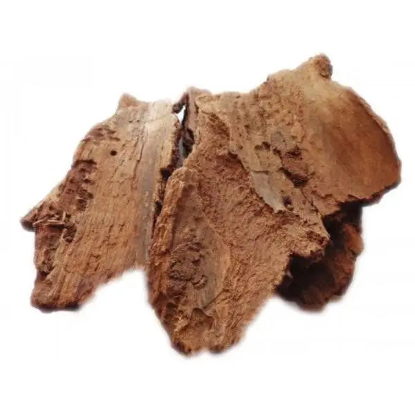 Peepal Bark / पीपल की छाल / Pipal KI Chal / Ficus religiosa