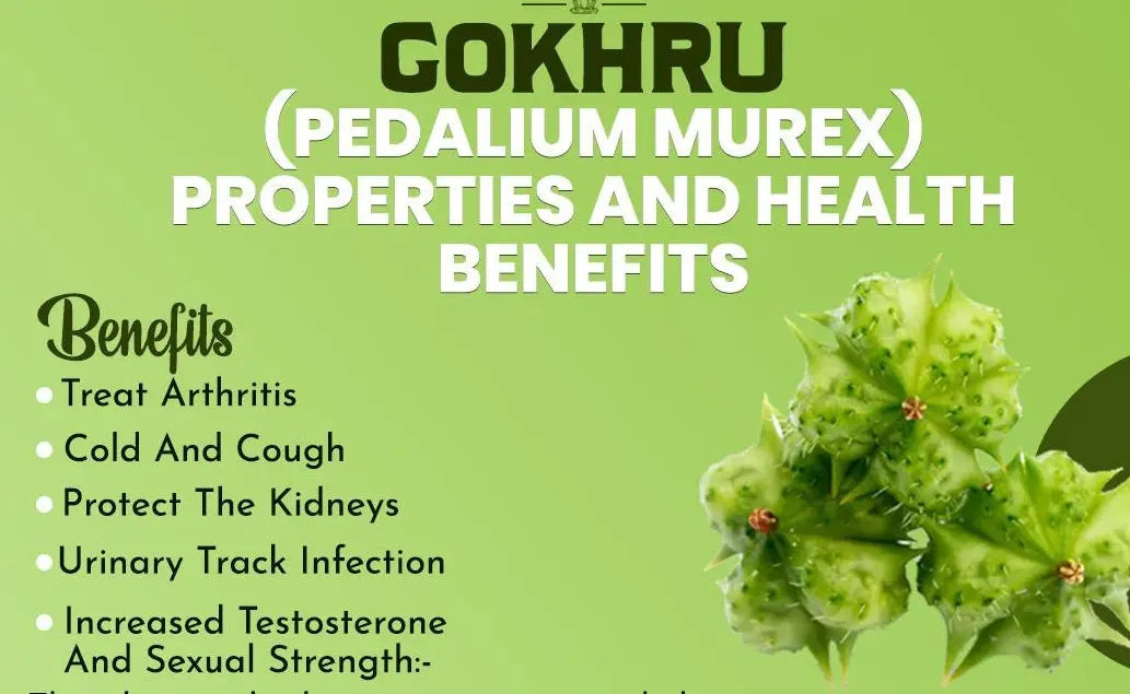 Gokhru  / गोखरू /  Caltrops Seeds / Pedalium Murex / Gokshura Nutrixia Food