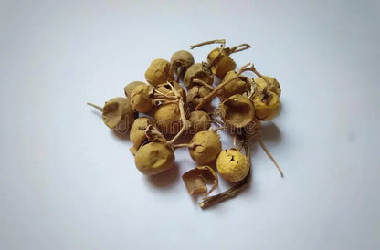 Kantkari /  कांतकारी /  Yellow-berried Nightshade / Kateri Fruit