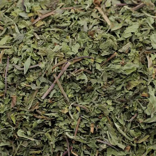 Peppermint Leaf  पुदीना का पत्ता  Pudina Patta Mint Dry पुदीना  Pudina Patta  Mentha