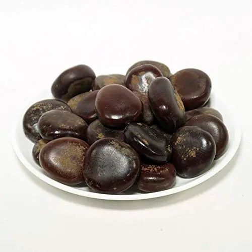 Mountain Tamarind Seeds-Pahadi Imli Beej-Average Size 2-3 Inch-Garbeej-Gella Nutrixia Food