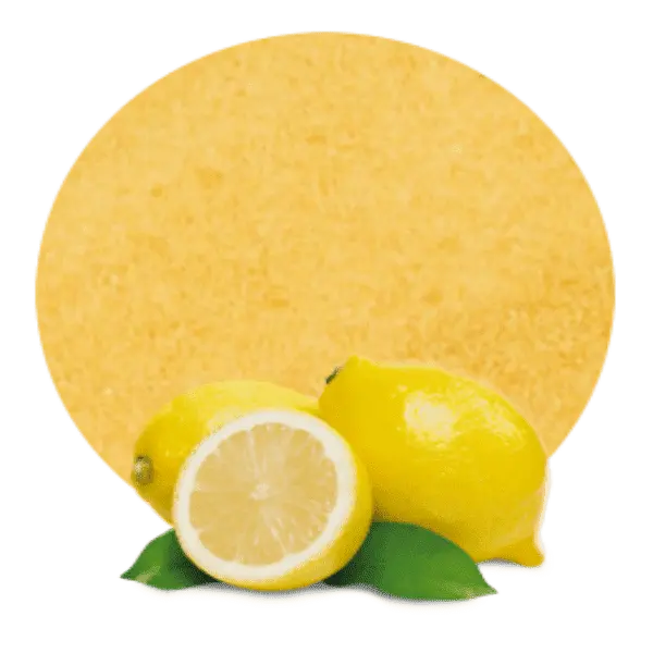 Lemon Powder / नींबू पाउडर / Nimbu Powder