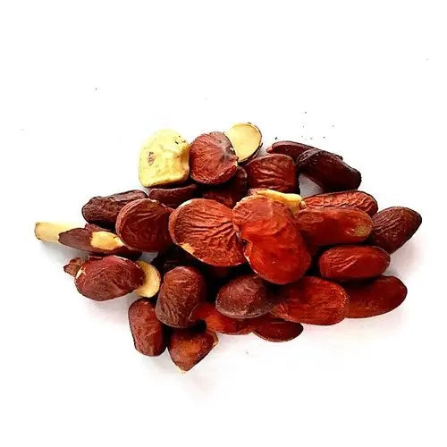 Karanj Seed Beej-KARANJA-Pongam oil tree Bark-Indian beech 