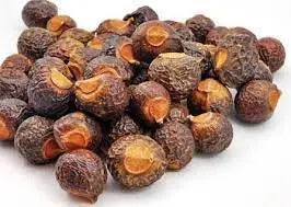 Soap nut / सोप अखरोट / Rita / Sapindus / REETHA - रीठा