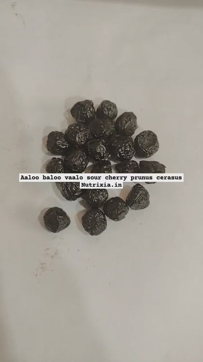 Aaloo Baloo Vaalo - Sour Cherry - Prunus Cerasus