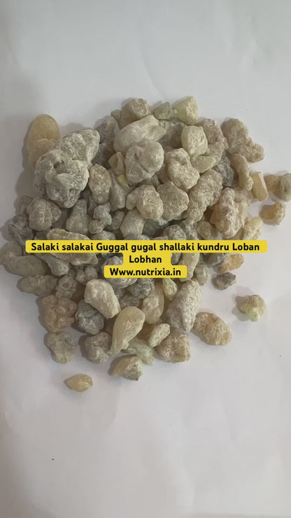 Salaki Guggal - Guggal - Guggul - Gugul - सालाकी गुग्गल- Gugal - Shallaki - Boswellia Serrata Gum