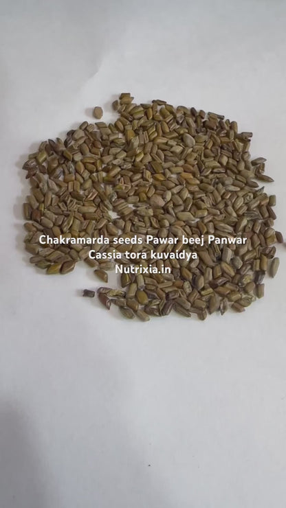 Chakramarda Seeds Powder Pawar Seeds Beej Puwar-Pawar Seeds-Panwar Kuvadia Kuvadiya-Cassia Tora Seeds
