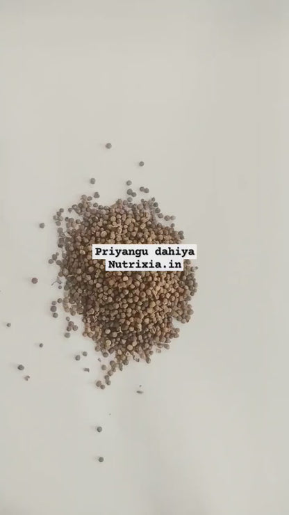 Priyangu Seeds - Priyangu Beej - Callicarpa Macrophylla - Velvety beauty berry - Dahiya