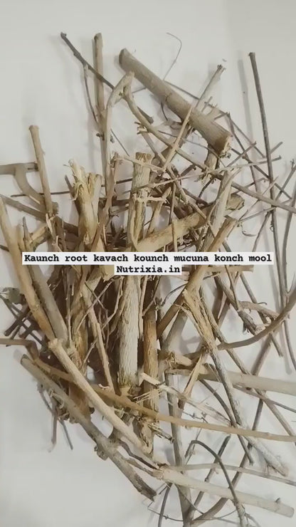 Kaunch mool root jad -kavcha-Kaunch-Mucuna Pruriens - Cowhage