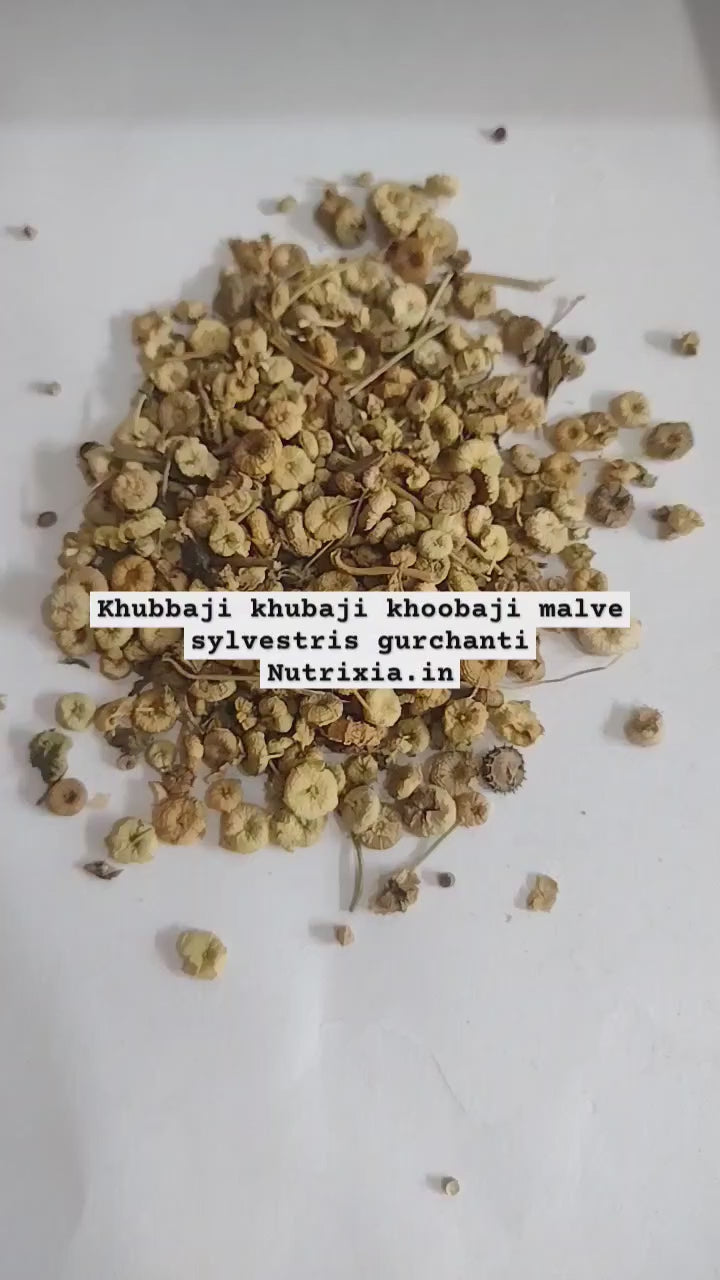 Khubbaji - Khubaji - Khoobaji - Khubbazi - Malve sylvestris - Gurchanti