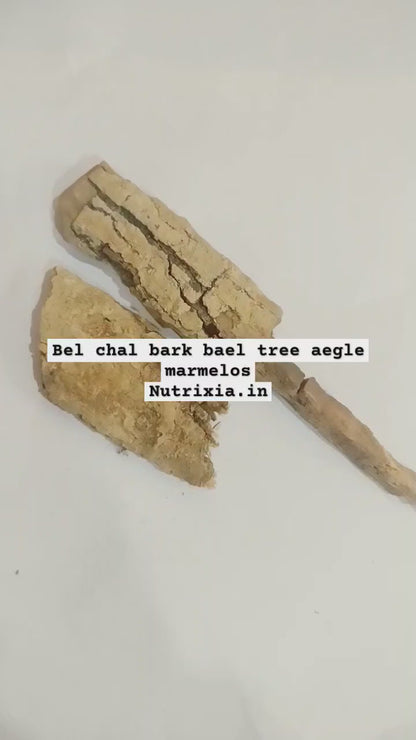 Bel bark sal Chhal - Bael Chaal - Aegle Marmelos