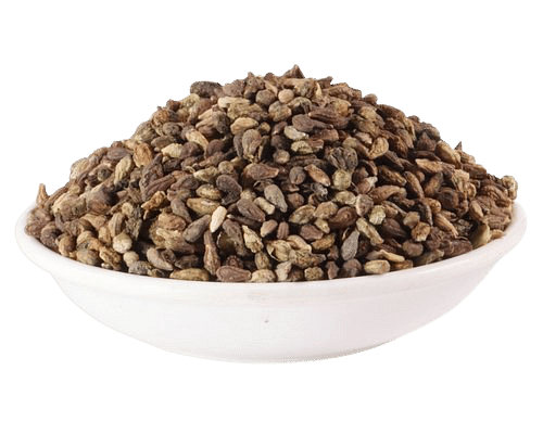 Putrajivak Beej Seed Powder ,Putranjiva Roxburghii and  Shivlingi Beej  Seeds Powder Putrajivak shivlingi -Nutrixia Food